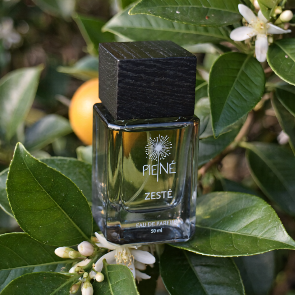 Zesté perfume bottle – citrus and musk fragrance Fresh unisex perfume with bergamot and cashmere – Zesté Eau de Parfum