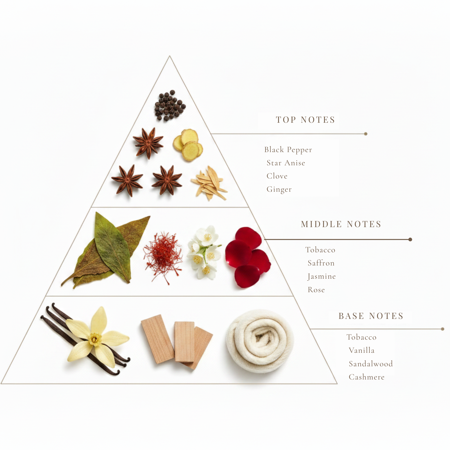 Oro Tabacco fragrance notes pyramid