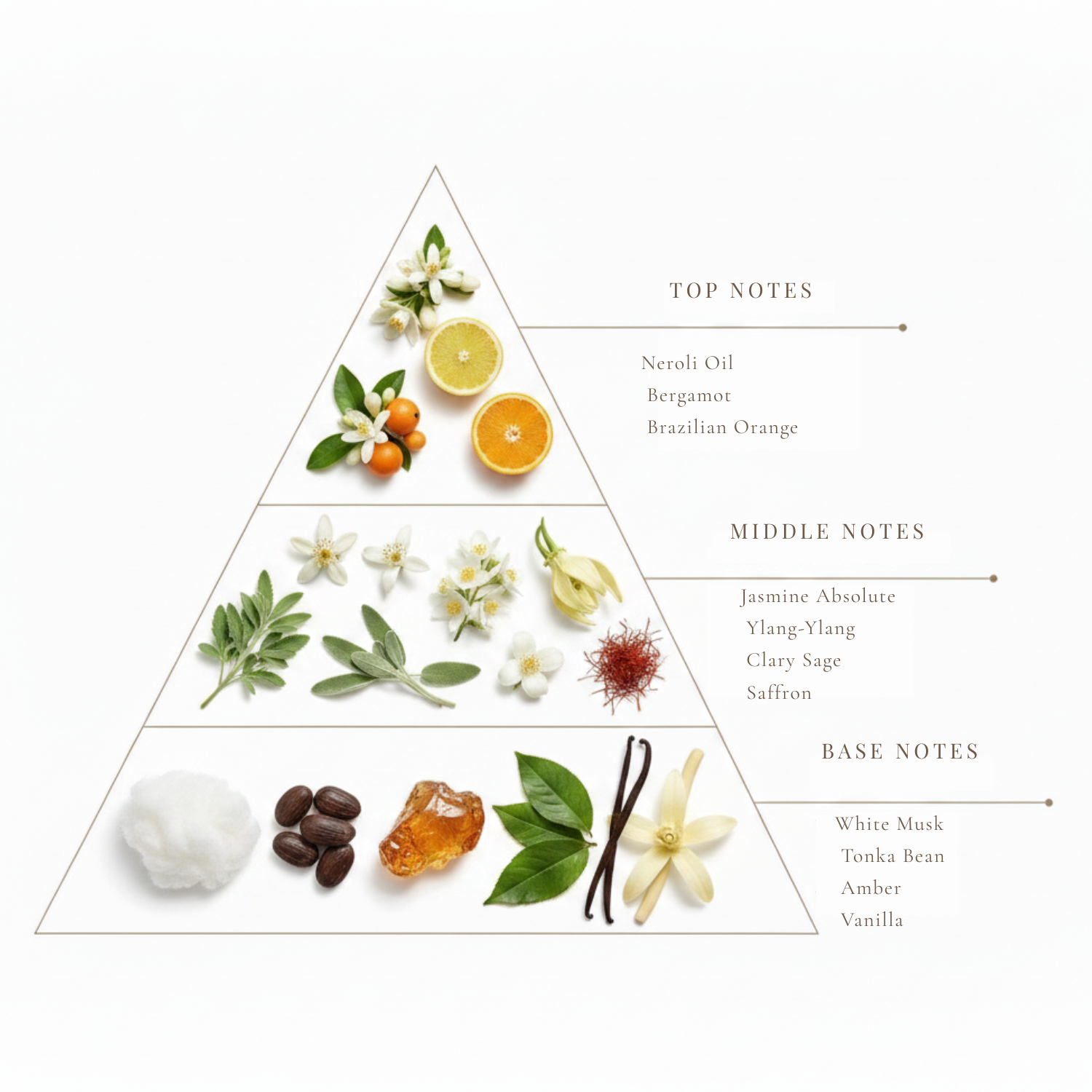Oro di Neroli fragrance notes pyramid