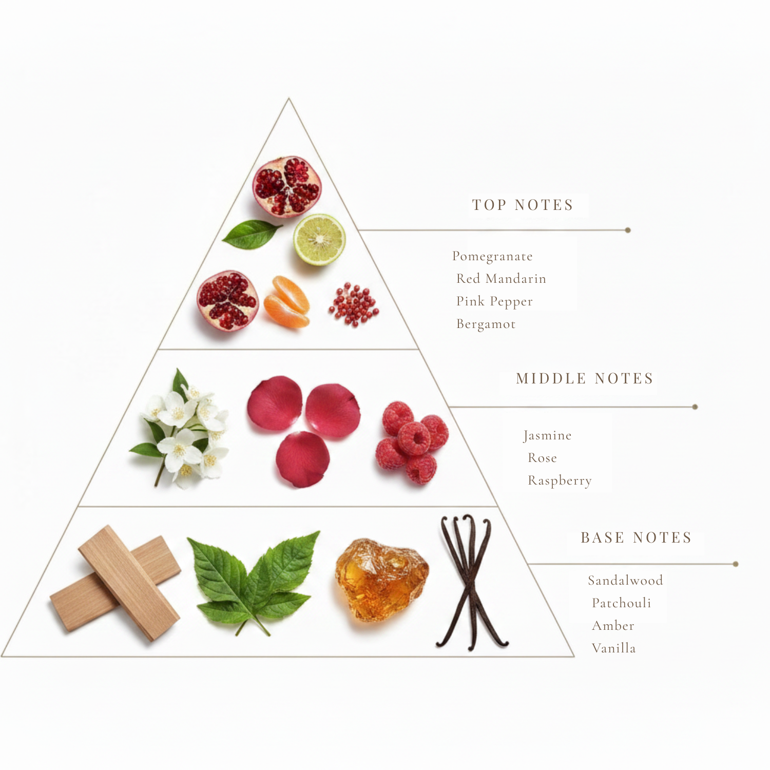 Ruby Woods fragrance notes pyramid