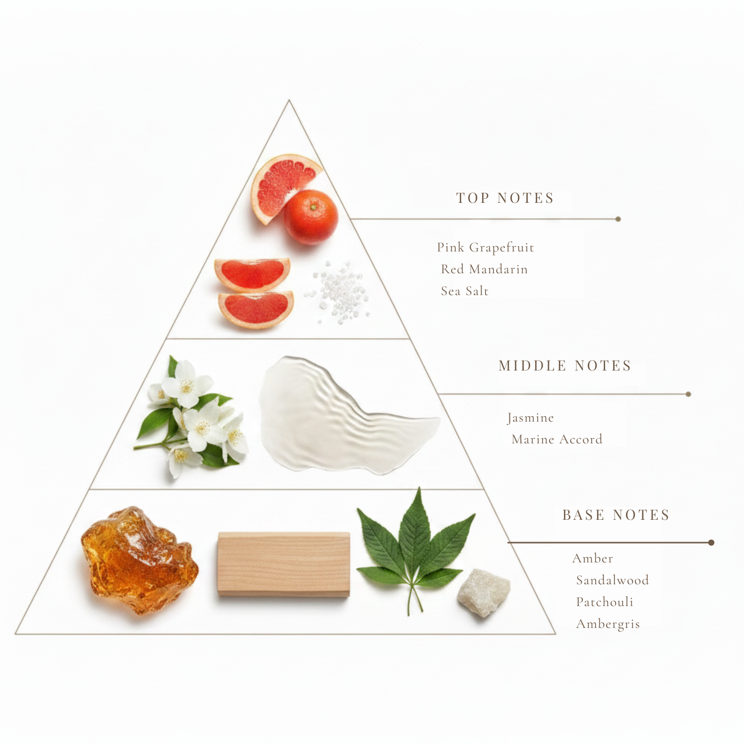 Tempest Aqua fragrance notes pyramid