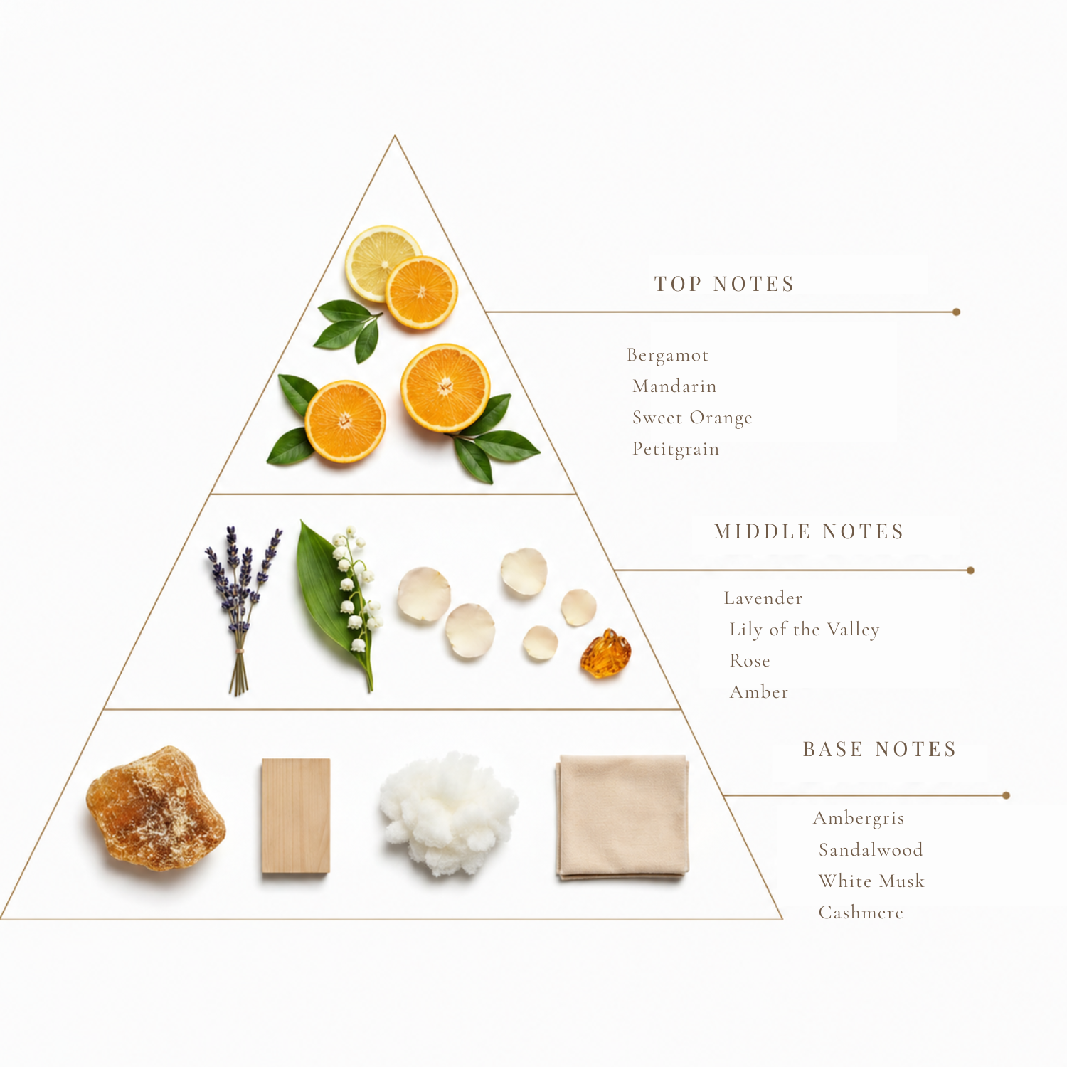 Zesté fragrance notes pyramid